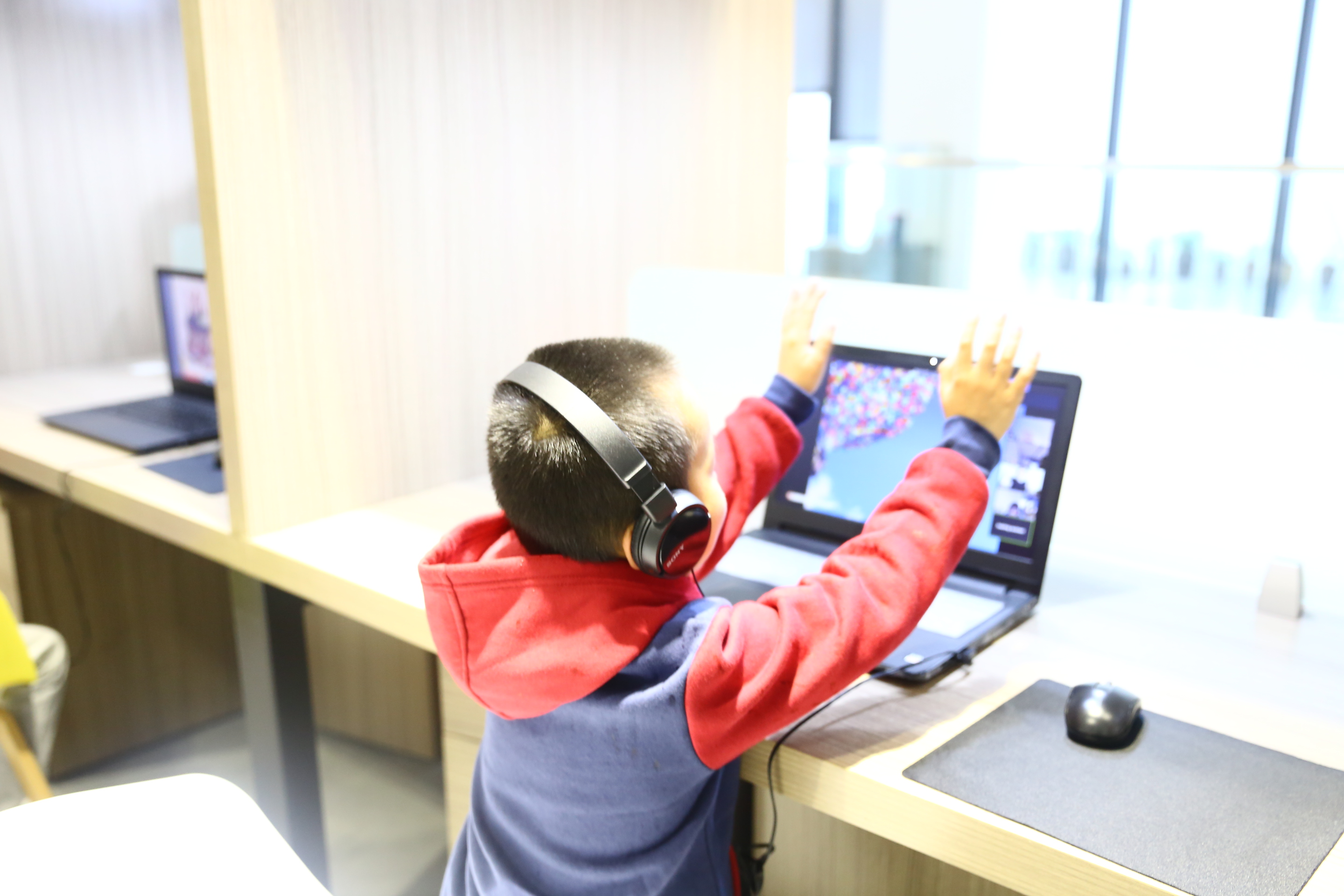 参观华南植物园有什么收获和感想,广州华南植物园赏秋