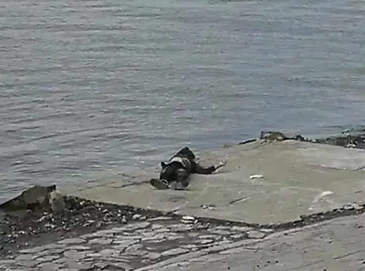 山东海边发现无名男尸,青岛发现一男尸