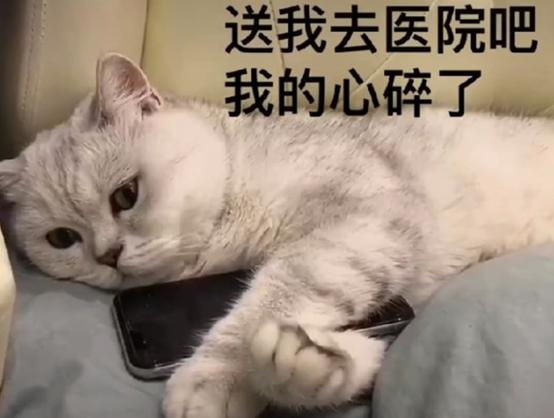 拯救娱乐圈的紫微星：从希望和幻灭之间，只用了一秒的时间