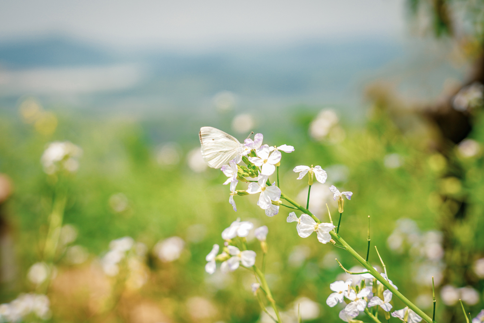 郴州仰天湖民宿多少钱一晚,郴州民宿一晚多少钱