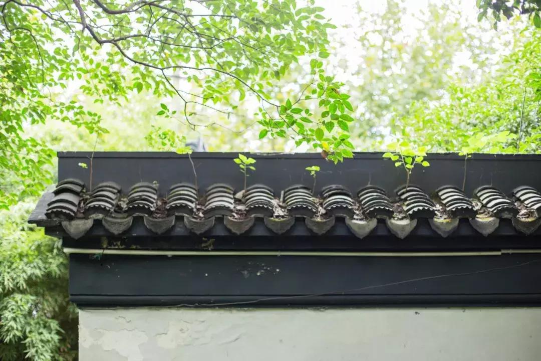 中国汉字的令人崩溃的瞬间,最扎心的汉字