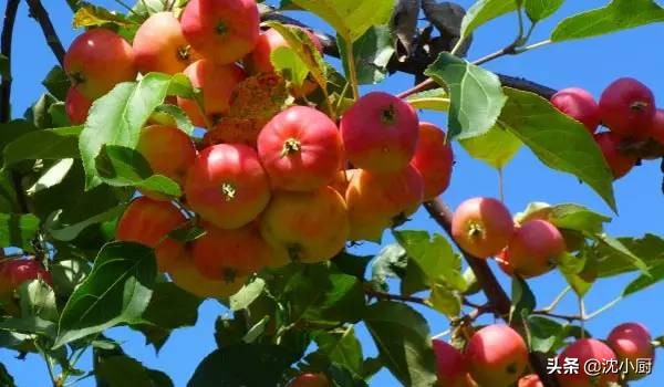 生活在赤峰为啥瘦不下来？这就是变胖的原因，没有之一