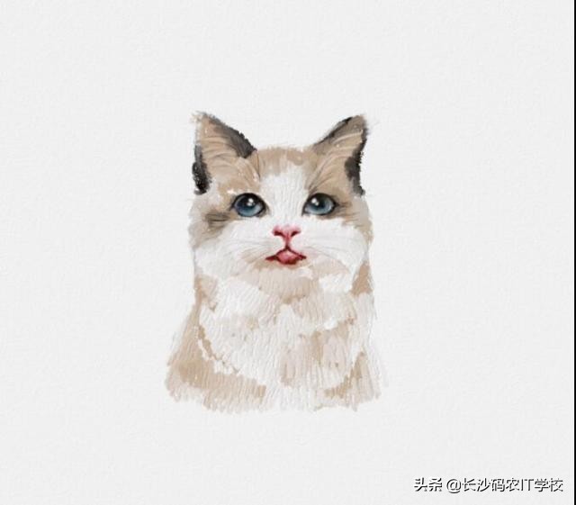 精神病院笑话大全爆笑简短,校园笑话大全爆笑简短笑话