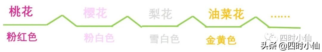 孩子写作文思路乱用思维导图,思维导图教小孩写作文