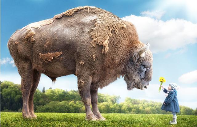 ps教程从零开始学全套修图,零基础学ps学会简单修图要多久