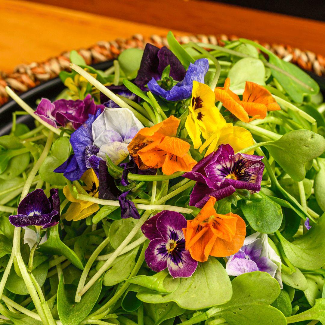 广州老广鸡煲,老广的鸡煲