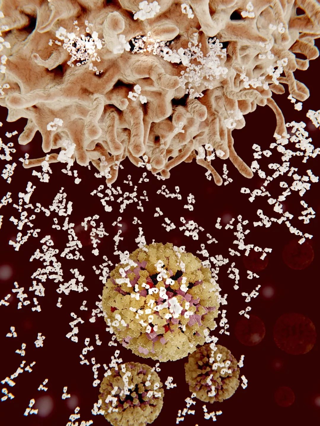 感染病毒后的168小时,你的体内都发生了什么?