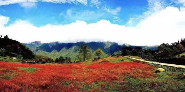 红了！黑竹沟迎颜值巅峰快去穿越五彩童话世界