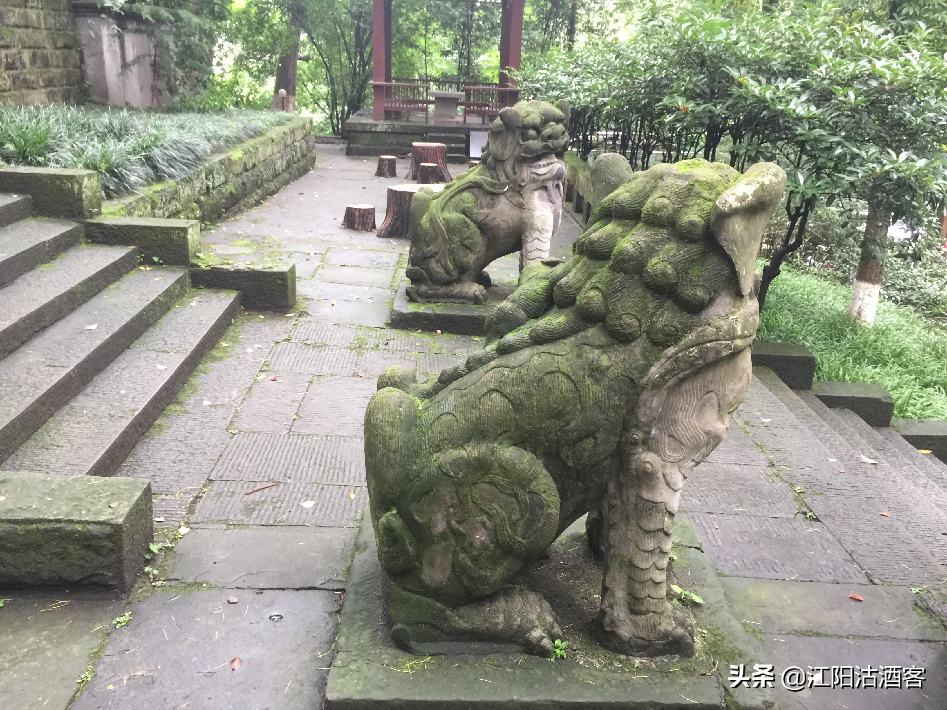 泸州江阳职高学校介绍,泸州江阳职高是民办吗