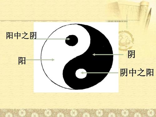 中医看世界,你会看到一个怎样的世界