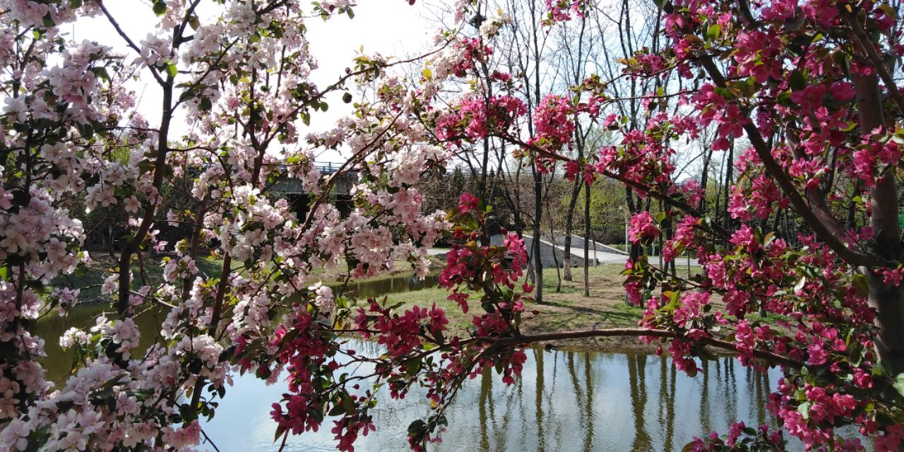 沈阳长白岛森林公园一日游攻略,长白岛森林公园五一