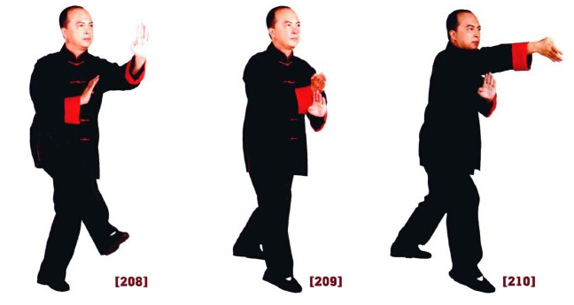 咏春拳入门十二散手,咏春拳标指教学视频