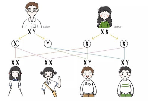 性别不止男女?让双性人和变性人参加奥运会,对其他选手公平吗?