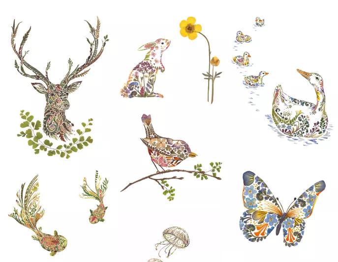 自然博物之旅,自然博物之旅感悟收获