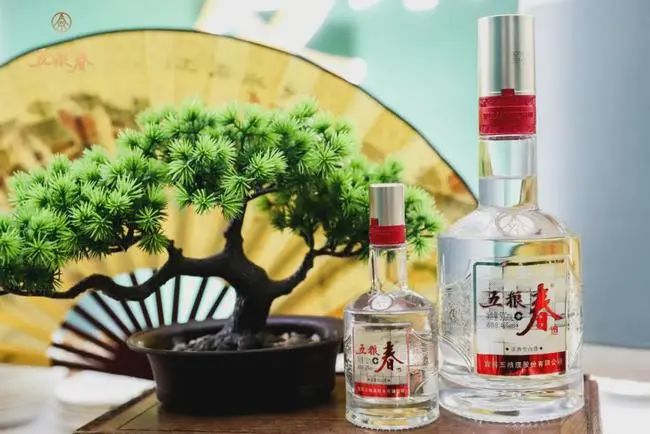 5年不增量，五粮春“野心”不小！|卖酒狼热点