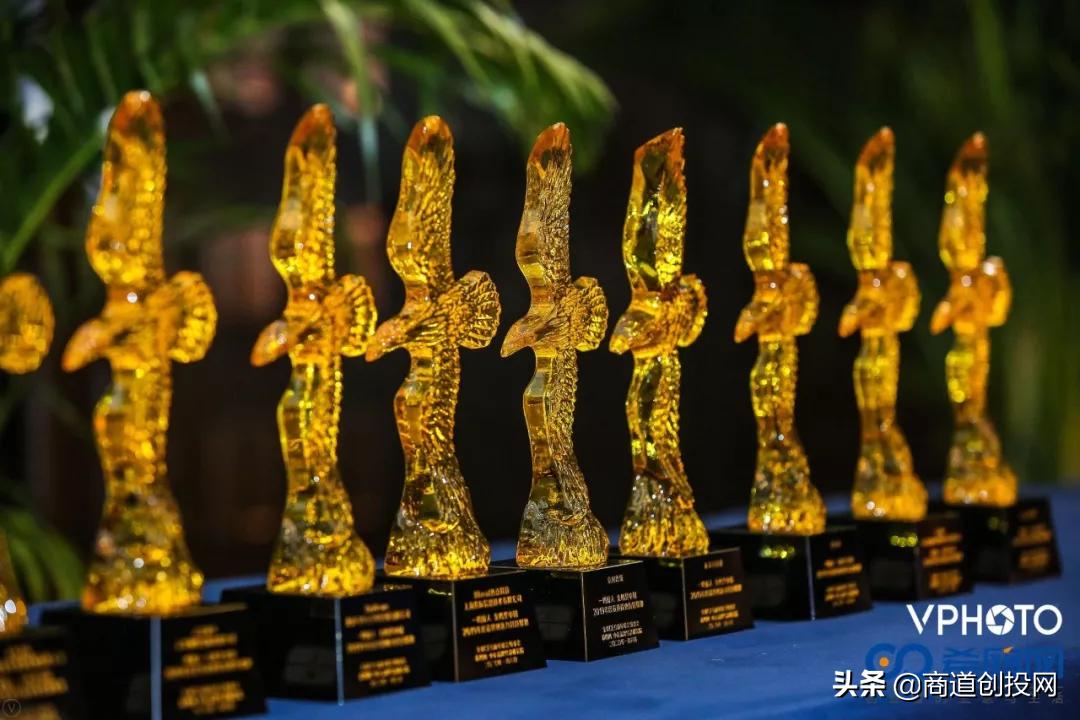 商道创投网会员动态,商道创投网