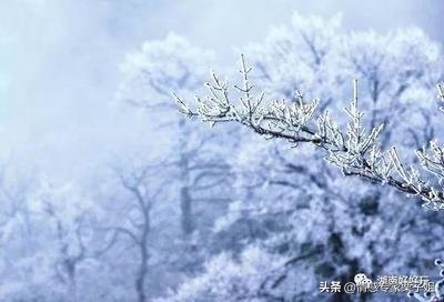 情感咨询栗子姐,情感专家栗子姐语录