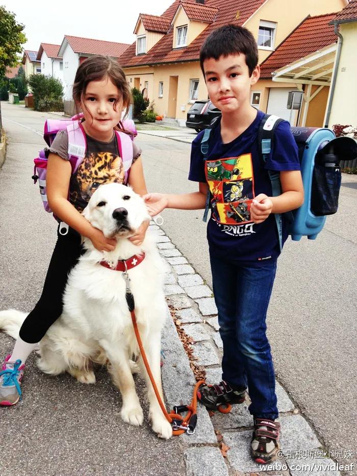 德国孩子幼儿园,德国幼儿园混龄教育优缺点