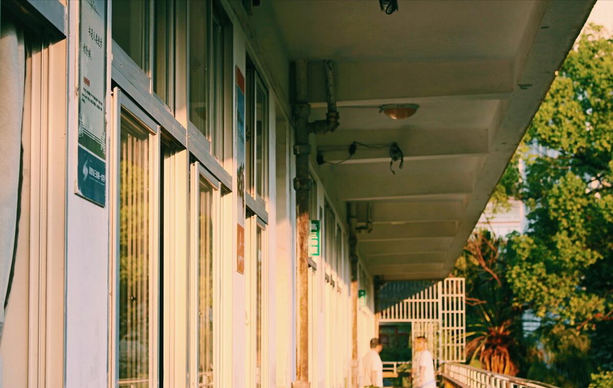 农村大叔种植桃子,农村大叔新发明的种植技术