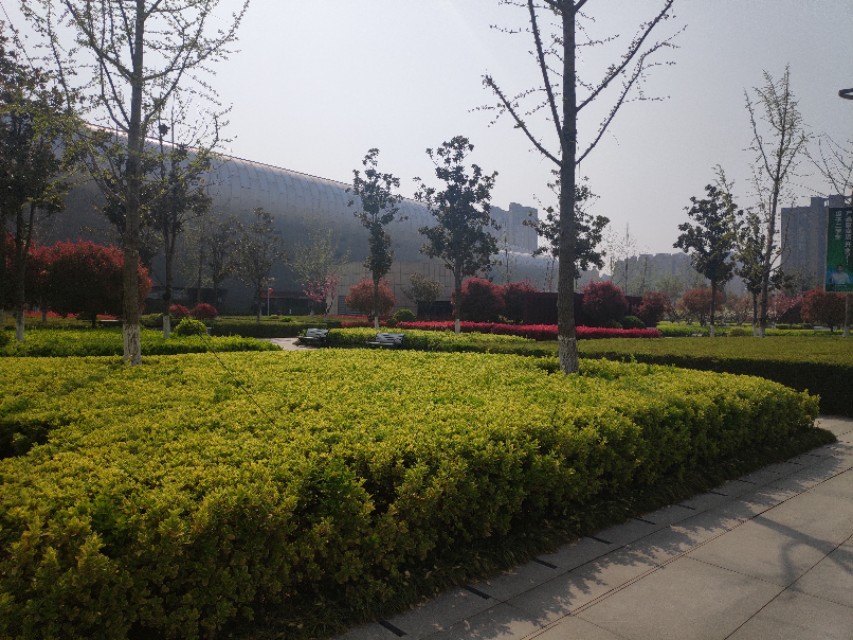 徐州鸟巢奥体中心,徐州鸟巢能容纳多少人