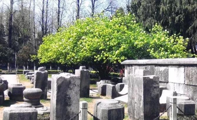 六朝古都南京明故宫,南京明故宫曾经世界上最大的宫殿