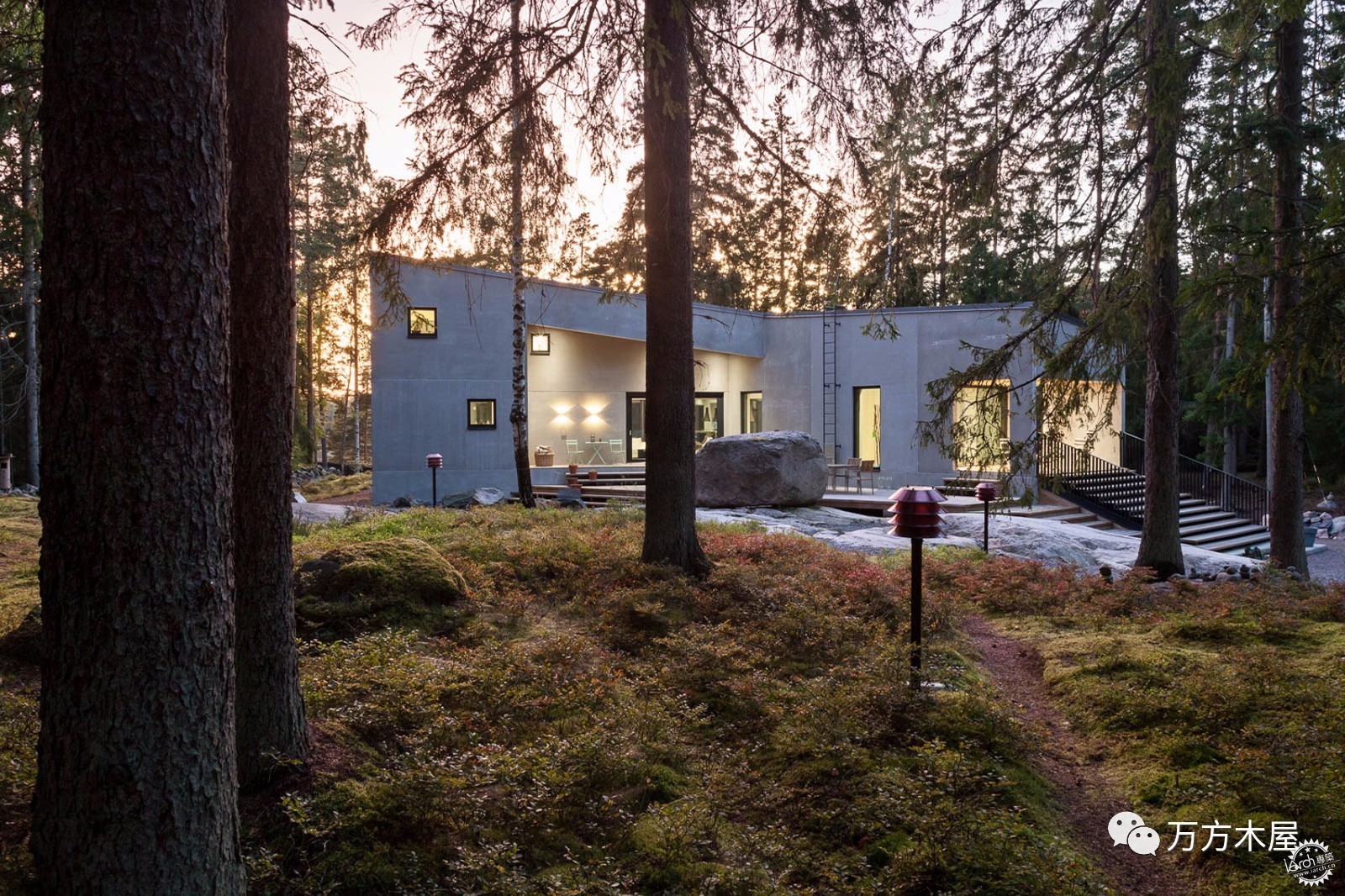 绿林深处美景,绿林深处的美景