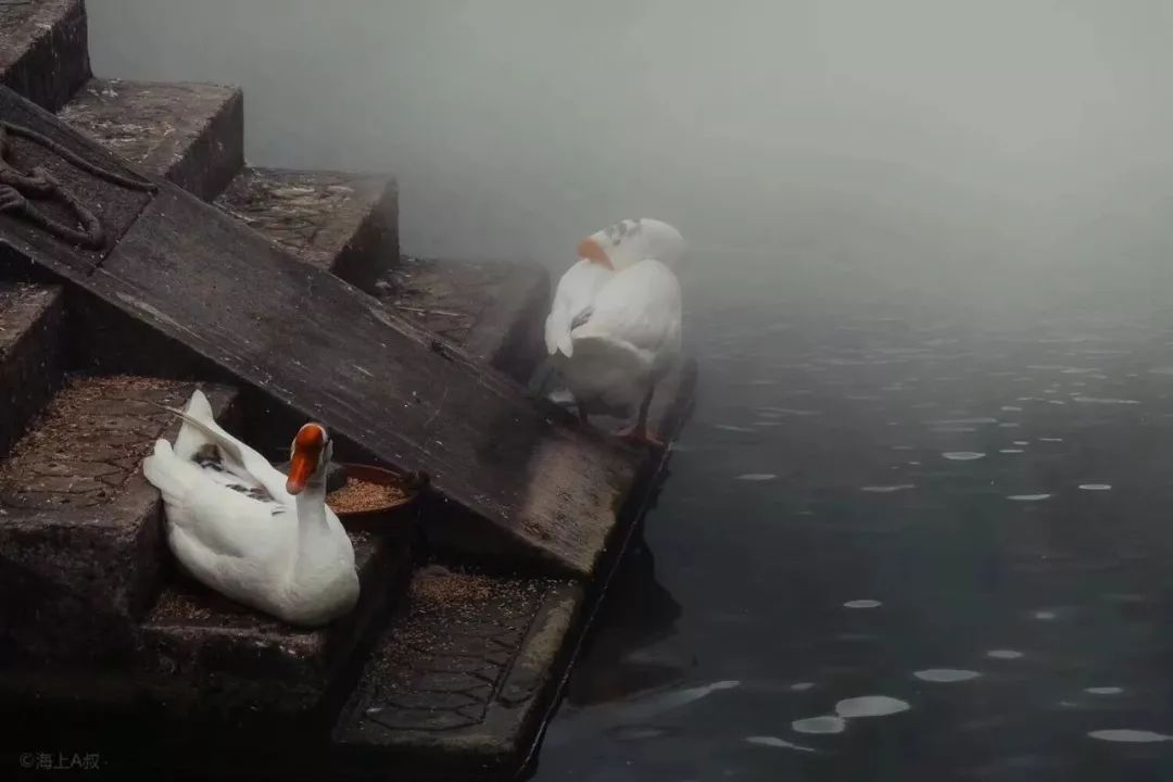 徕卡便携相机的lux7,徕卡便携款价格表