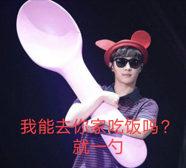 黄磊黄小厨,黄磊的黄小厨是什么