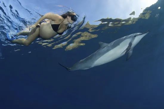 孕中期可以去钓鱼吗,孕中期游泳可以吗