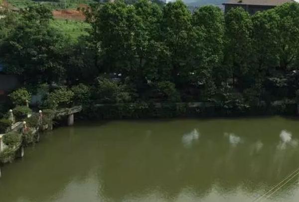 重庆主城好玩的农家乐,这才是重庆最好的农家乐