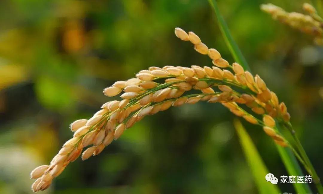 染发皮肤过敏应该用什么药物治疗,皮肤过敏对症下药