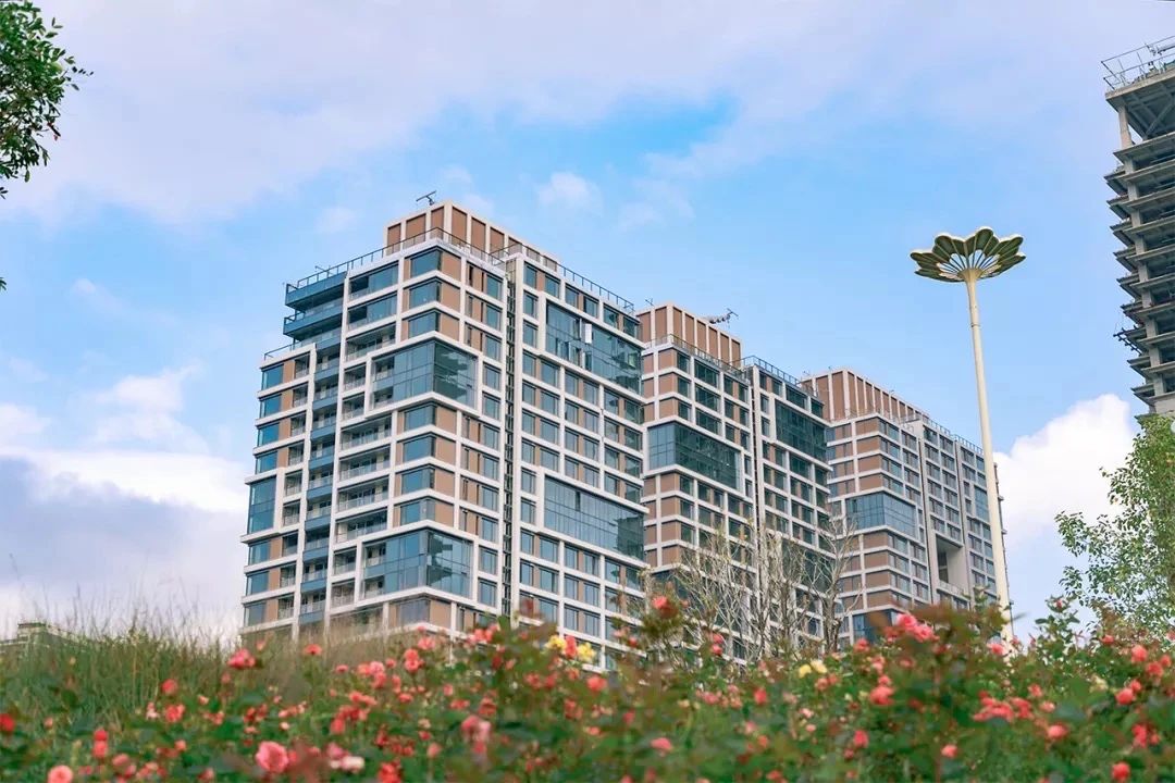 深圳看海去哪里比较好,深圳出地铁就看海的地方是哪里