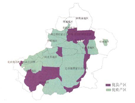 在*疆新**，谁才是“果界一哥”？