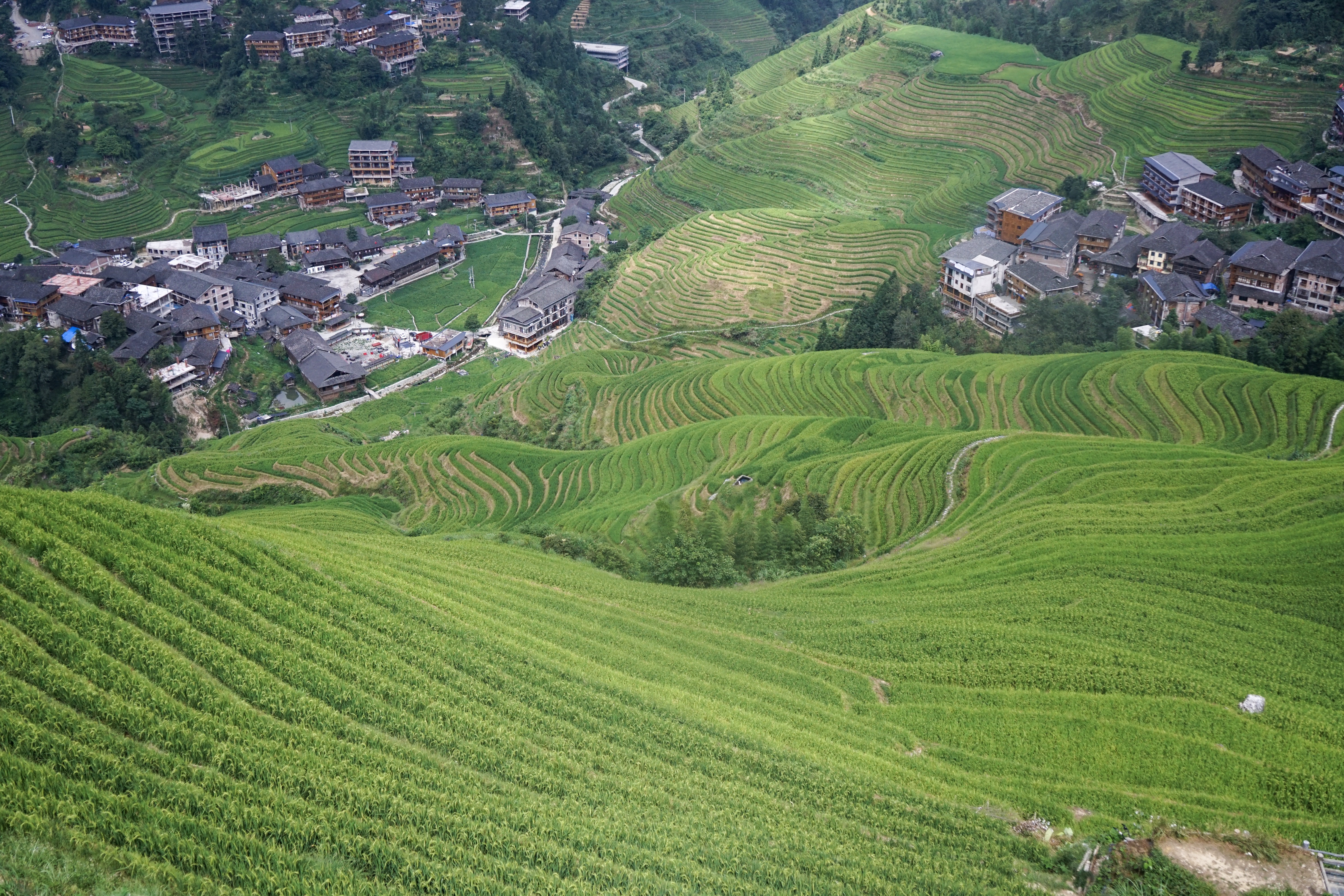 桂林三天两夜旅游龙脊梯田,桂林龙脊梯田避坑最全攻略