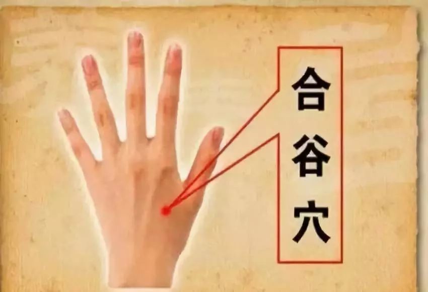 经络通畅百病消全文,经络通气血畅百病消