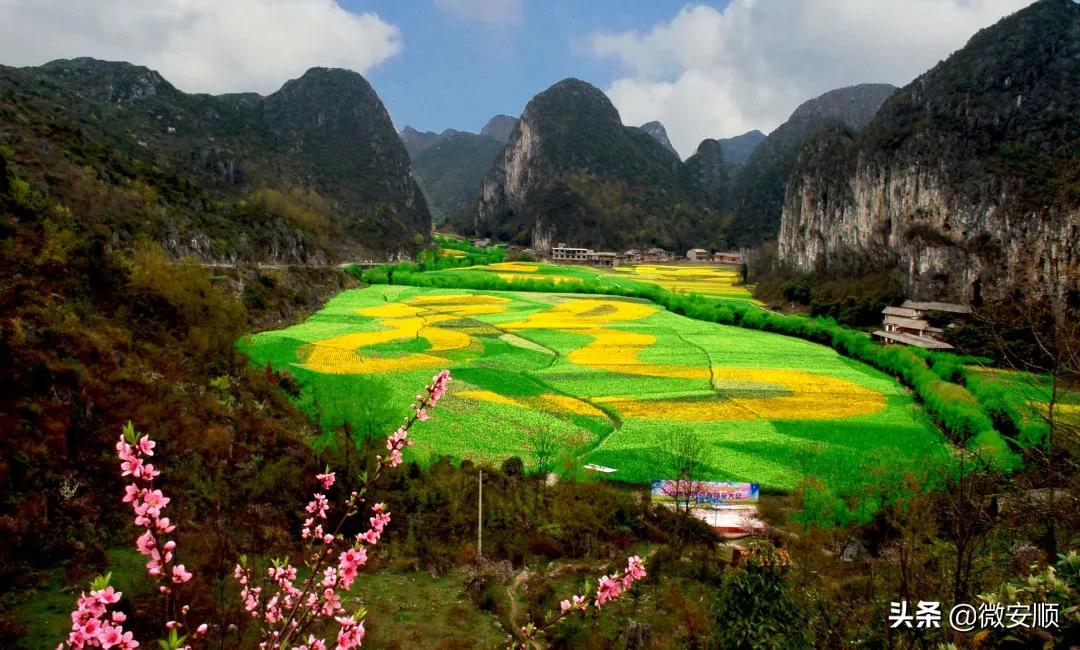 你好！我叫安顺，这是我2021最新简历