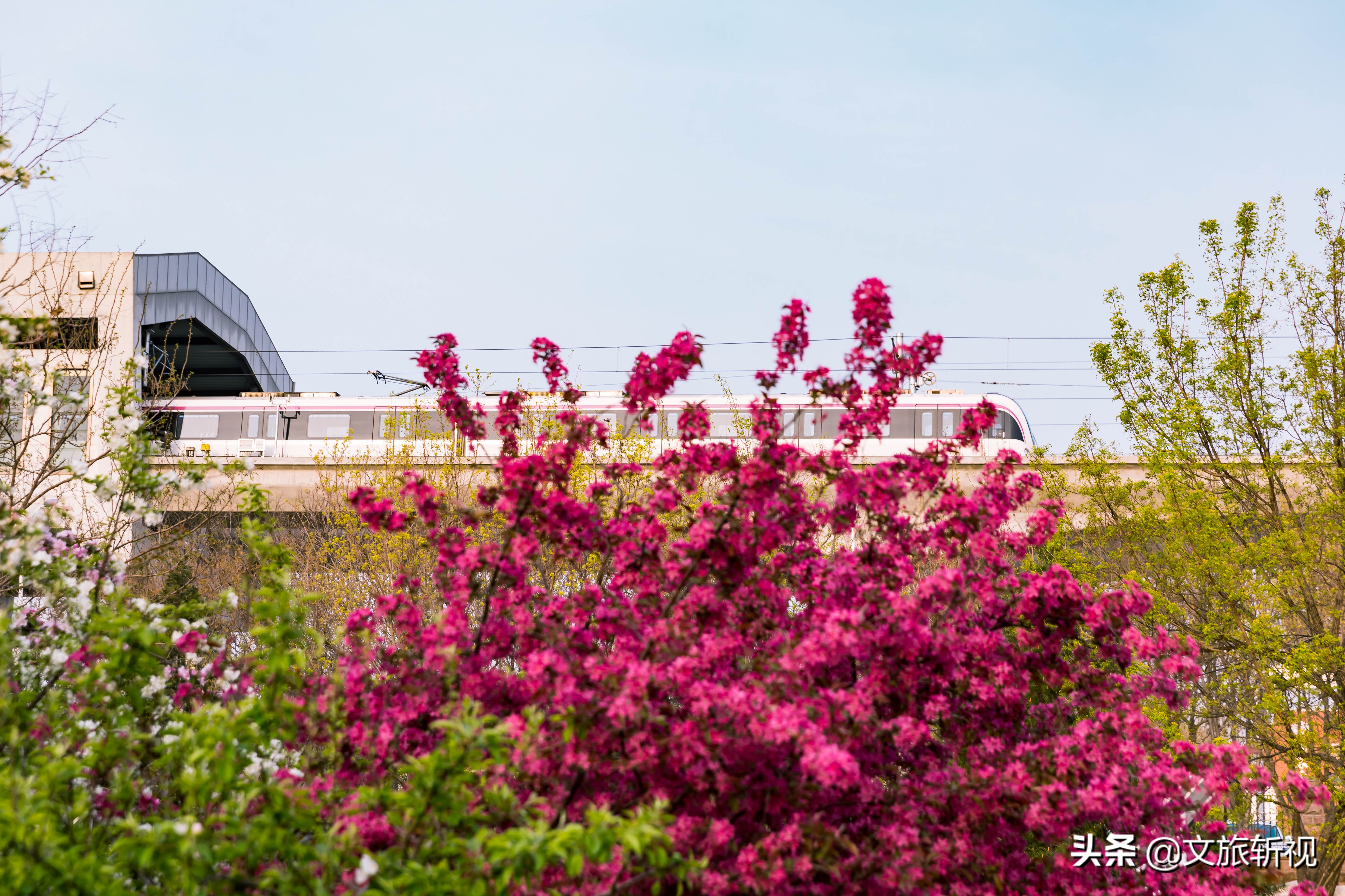 长清地铁规划最新消息,长清地铁最新规划图
