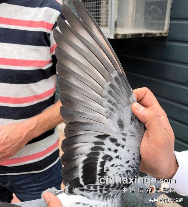 96年巴塞罗那比赛录像,2011年巴塞罗那五冠王