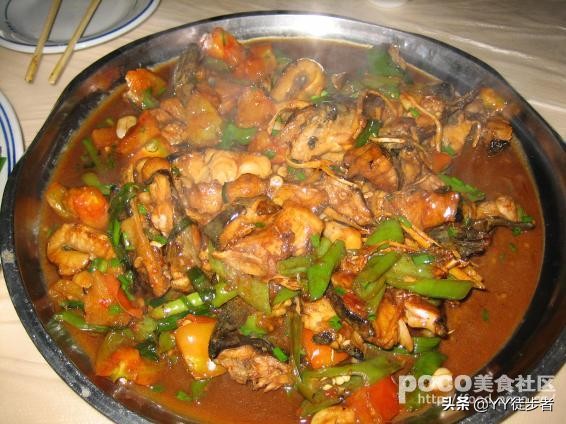 喜欢吃鱼的朋友们值得收藏,喜欢吃鱼的朋友一定要收藏