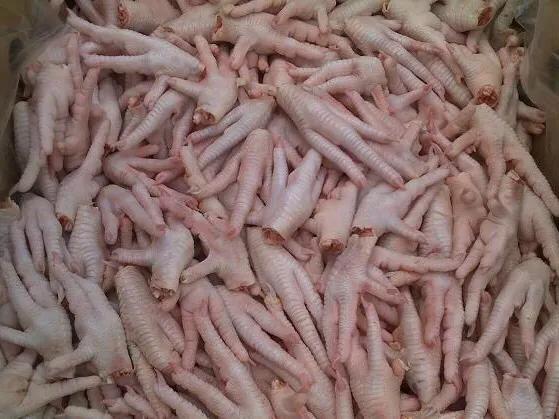 冷冻鸡爪种类大全,冻鸡爪来自哪里