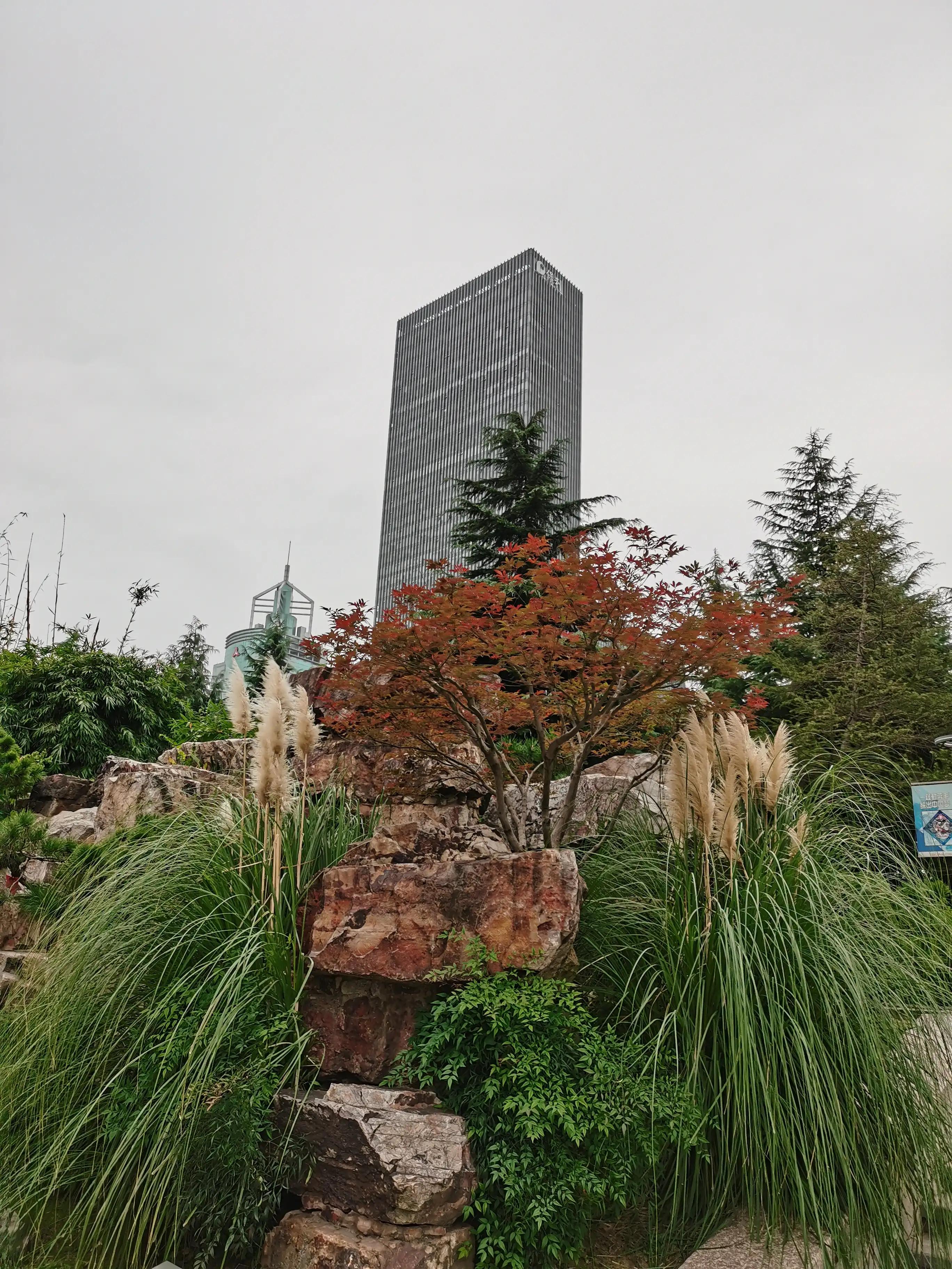 武汉洪山广场美食,武汉洪山广场附近有什么好玩的