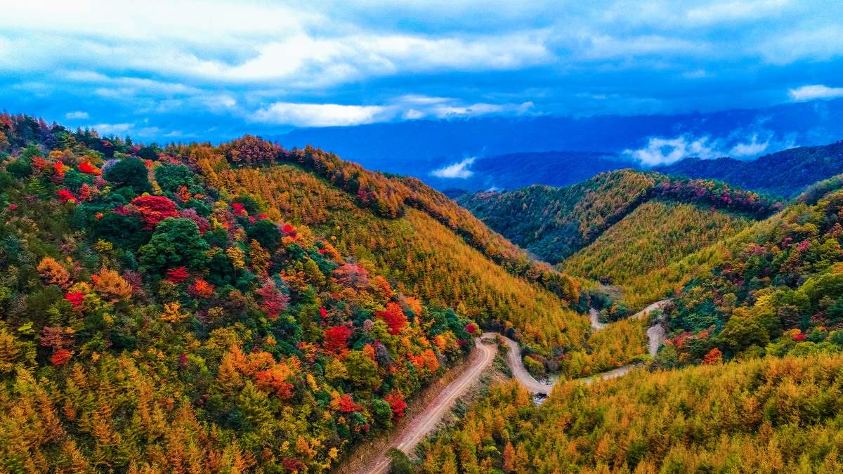 如果你累了就来这座小城吧,如果你累了就来云南吧完整版