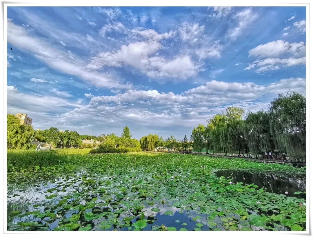 潏河到底怎么读,潏河如何读