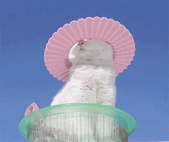 不怕风吹的防晒遮阳帽,既能防晒又遮挡紫外线的帽子