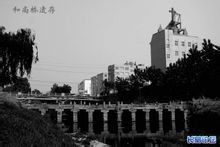 长葛市大周镇赵明环村概况,河南省长葛市古桥乡苑店村概况