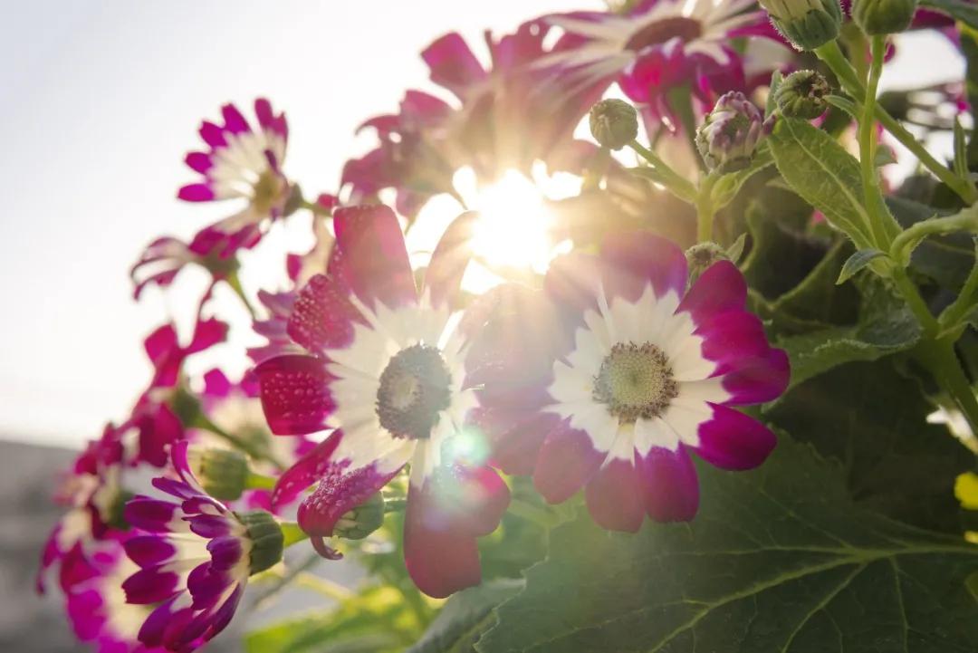 争做四有干部,争做四有好干部