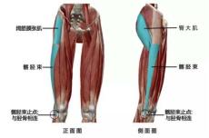 髂胫束摩擦综合征（膝外侧疼痛）跑步杀手，自我预防、康复的方法