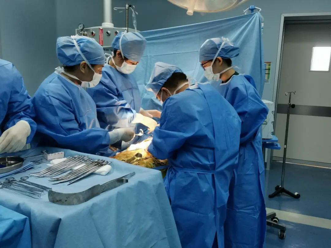 肚子大以为是胖却患肿瘤,以为自己胖其实是囊肿