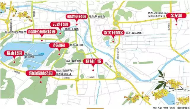 秋意渐浓桂花香气四溢,桂花已开秋意渐浓去哪儿赏桂