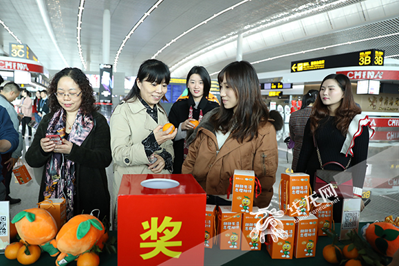 忠县忠橙基地,重庆忠县打响忠橙国际品牌